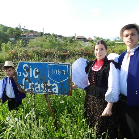 Csipkeszeg Bed & Breakfast Sic / Szek Romania Exterior foto