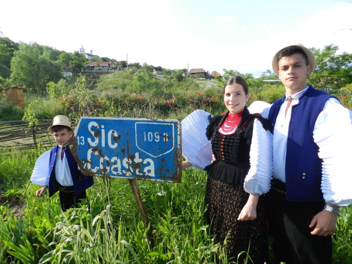Csipkeszeg Bed & Breakfast Sic / Szek Romania Exterior foto