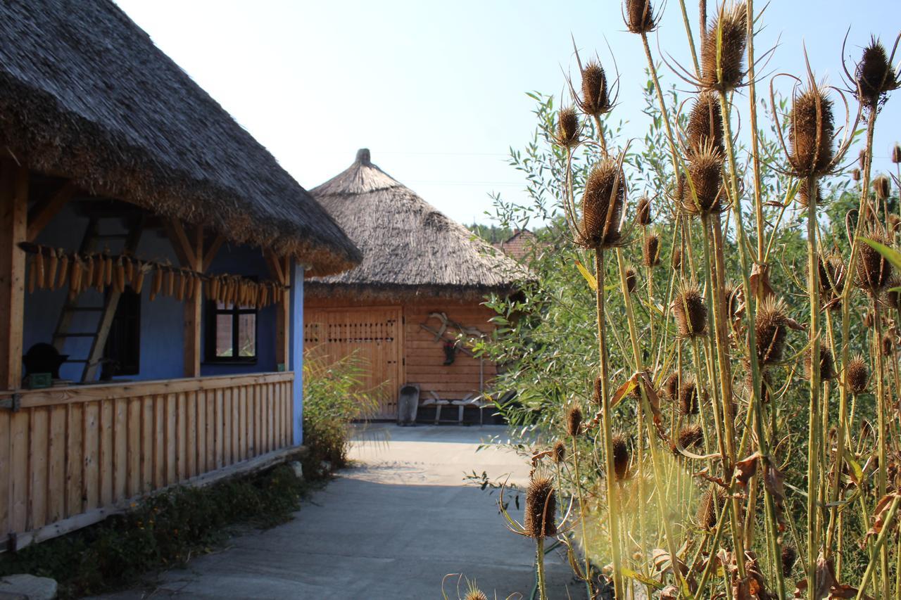 Csipkeszeg Bed & Breakfast Sic / Szek Romania Exterior foto